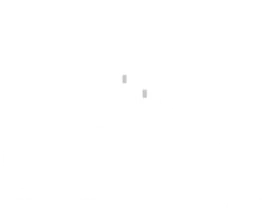 Logótipo Cittá — Centro Integrado de Tratamento Animal