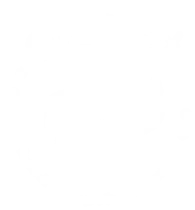 Logótipo elovet — Escola de Liderança e Oratória Veterinária