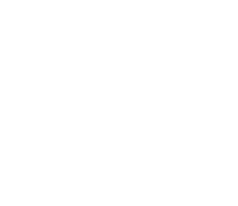 Logótipo Naimagem Ultrassonografia Veterinária