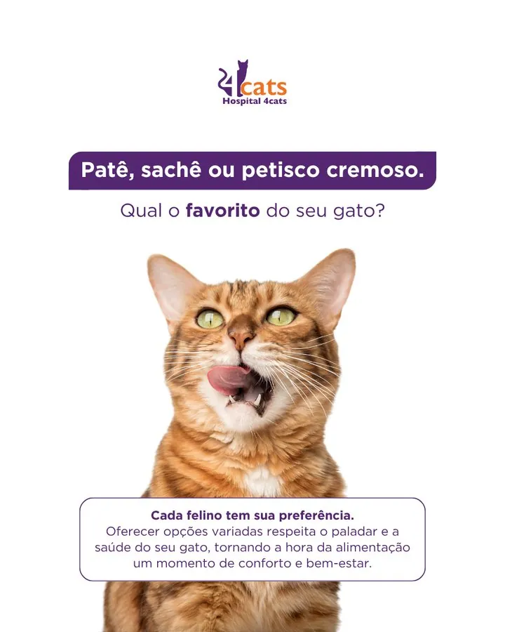 Hospital 4cats — Post: patê, sachê ou petisco cremoso — qual o favorito do seu gato?