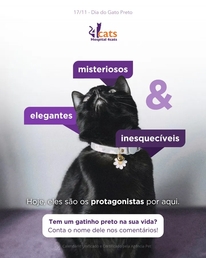 Hospital 4cats — Post do Dia do Gato Preto (17/11)
