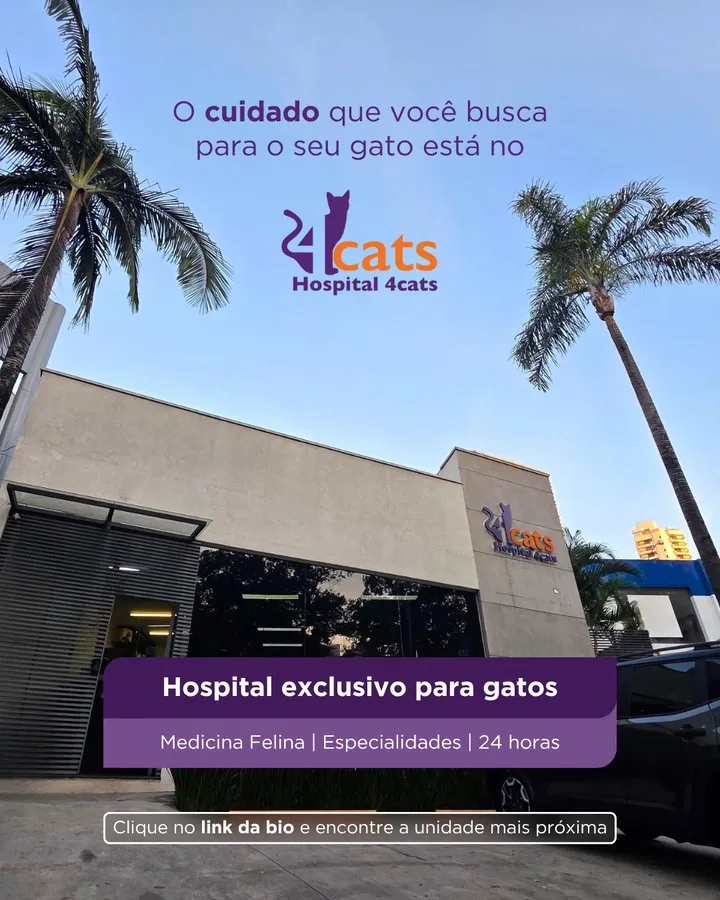 Hospital 4cats — Post institucional com a fachada do hospital exclusivo para gatos