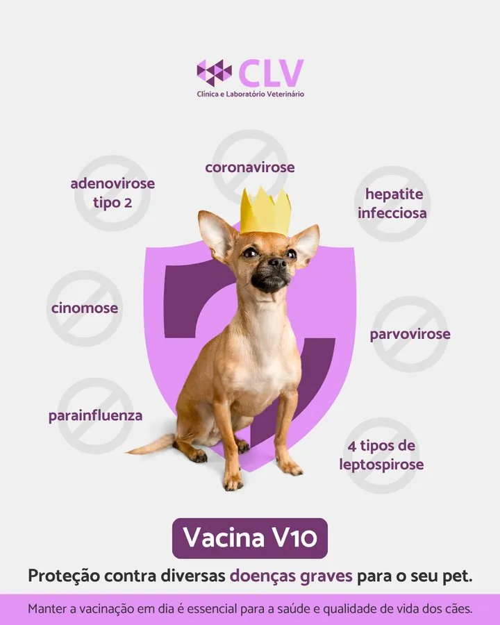 CLV — Post sobre a vacina V10 e as doenças que ela previne