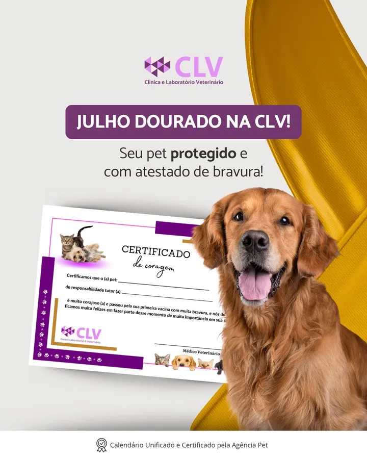 CLV — Post Julho Dourado com o certificado de coragem da vacinação