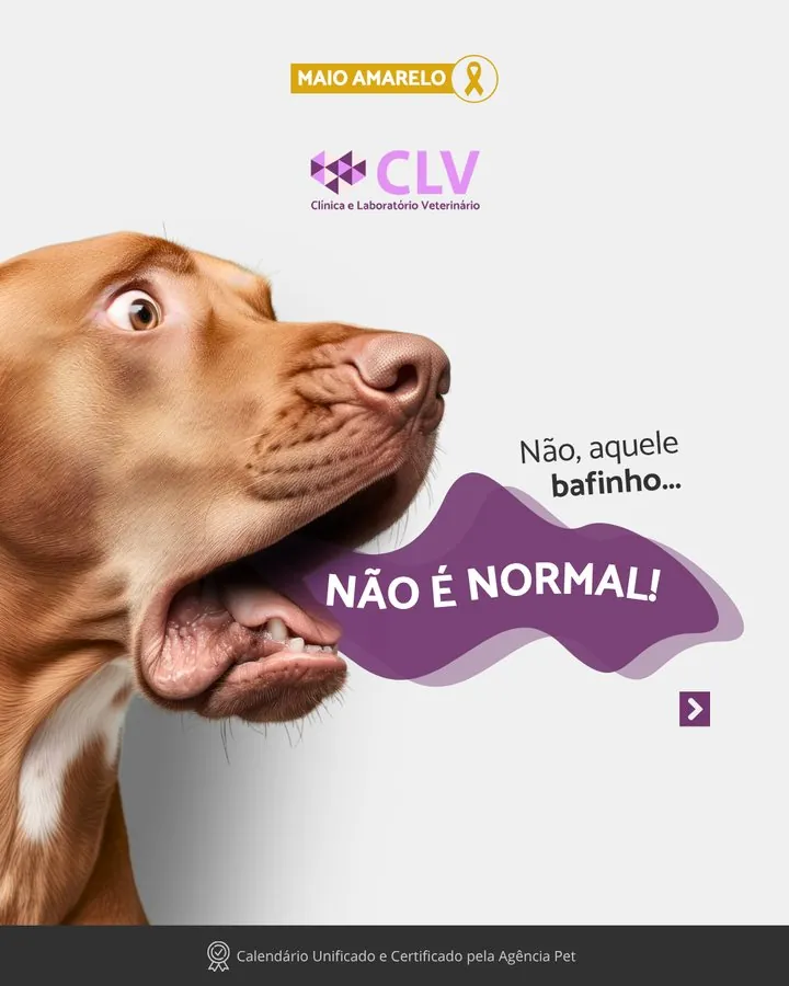 CLV — Post Maio Amarelo: bafinho não é normal