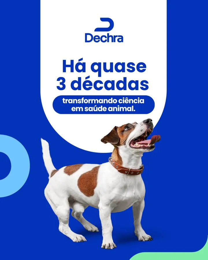 Dechra — Post institucional: há quase 3 décadas a transformar ciência em saúde animal