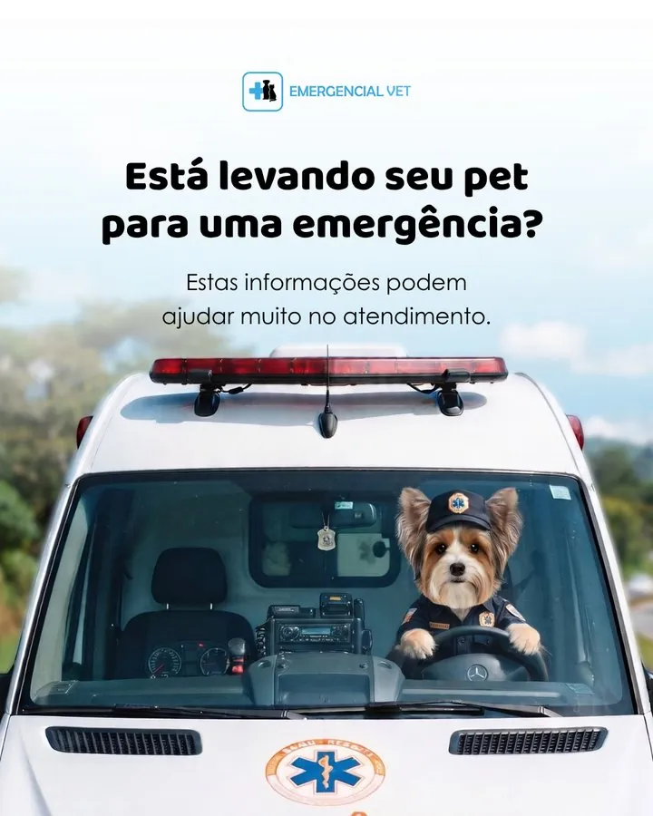 Emergencial Vet — Post: vai levar o seu animal a uma urgência? Informações que ajudam no atendimento