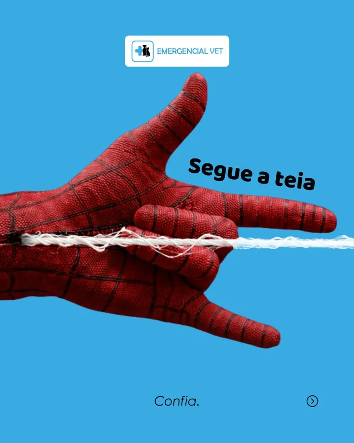 Emergencial Vet — Post criativo: segue a teia