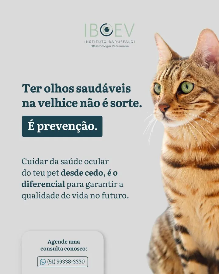 IBOEV — Post: ter olhos saudáveis na velhice não é sorte, é prevenção
