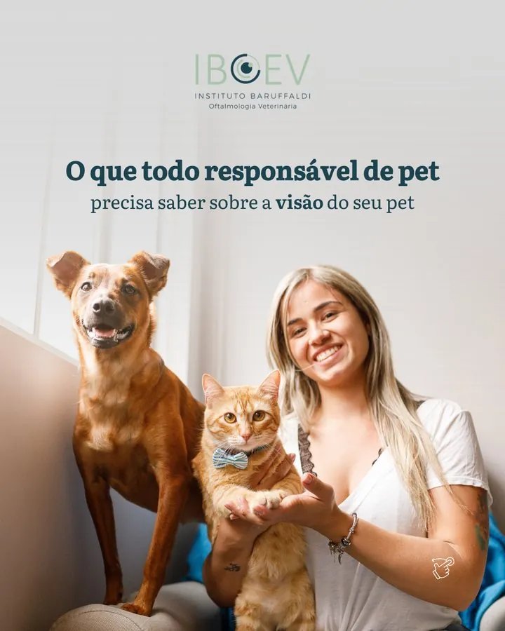 IBOEV — Post: o que todos os tutores precisam de saber sobre a visão