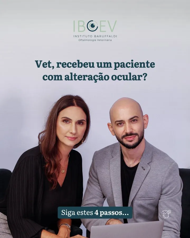 IBOEV — Post para médicos veterinários: recebeu um paciente com alteração ocular? Siga estes 4 passos