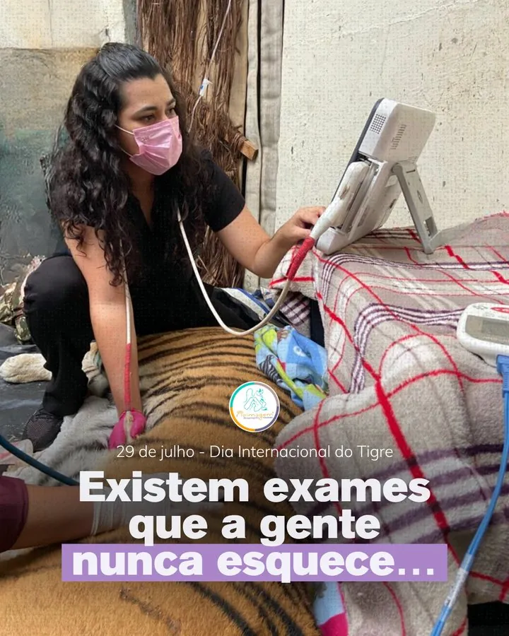 Naimagem — Post do Dia Internacional do Tigre: exames que nunca esquecemos
