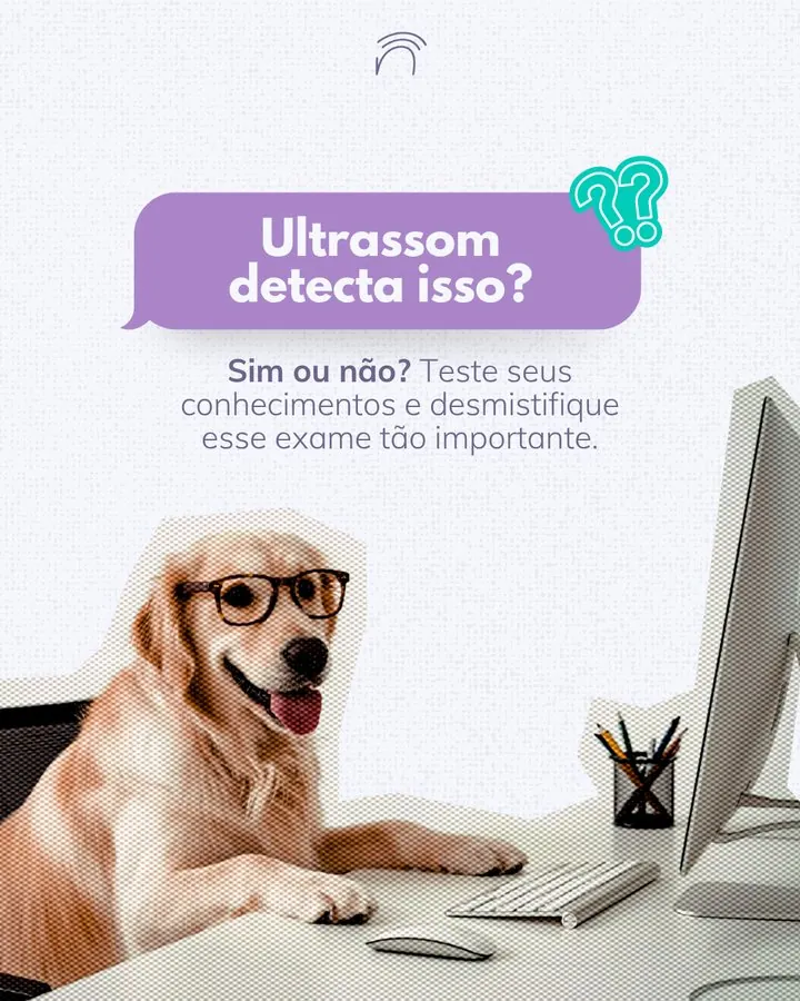 Naimagem — Post quiz: ultrassom detecta isso?
