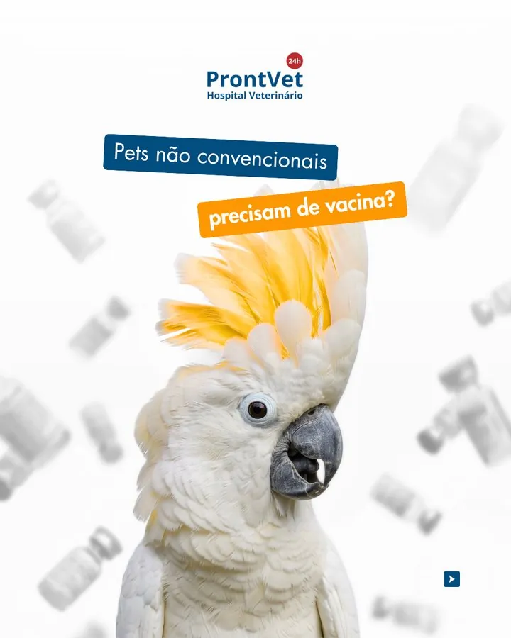 ProntVet — Post: os animais exóticos precisam de vacina?